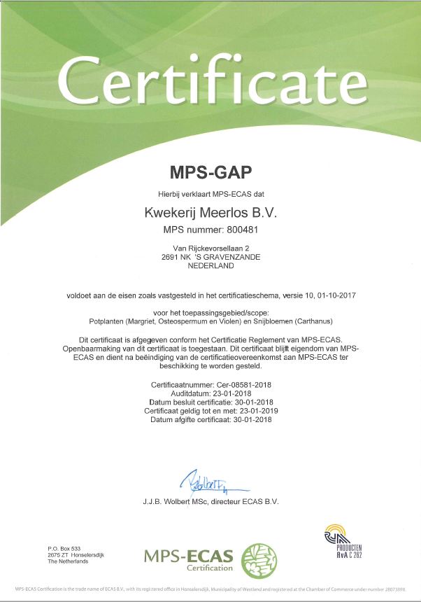 MPS-certificate